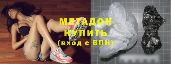 прущие грибы Алзамай