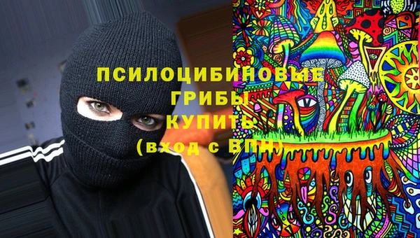 прущие грибы Алзамай