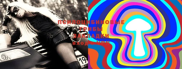 прущие грибы Алзамай
